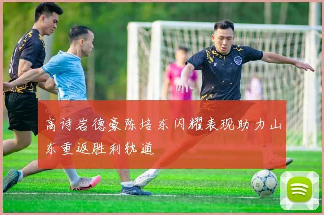 高诗岩德豪陈培东闪耀表现助力山东重返胜利轨道